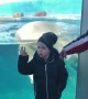Polar Bear Plays By Boy in the Pool