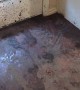 Dirty Dog Make Mess of Human's Home