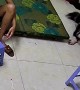 Kitten Damages Fan And Flees The Scene