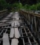 Scooter Crosses Sketchy Bridge