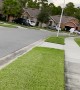 'Ghost' Haunts Florida Neighborhood