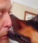 Dog Feels Comfortable Getting in Close