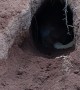 Dog Digs Impressive Hole