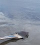 Saving a Baby Manta Ray from Receding Tide