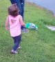Little Girl Encounters Turtle
