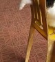 Helping a Kitten Stuck in a Chair
