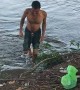 Alligator Snaps at Swimmer
