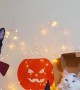 Pets Play Dress-up Together for Halloween