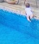Dad Saves Baby that Climbed into Pool