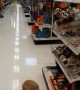2-Year-Old Son Reacts to Bone Puppies at Target