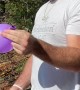 Bright Balloons Captivate Colorblind Man