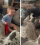 Playful toddler wants to be part of dog pack