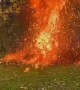 Insane slow-motion footage of leaves catching on fire