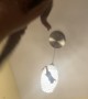 Sugar Gliders Leap From Hanging Light