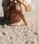 Very Cute Hermit Crab Spotted on the Beach