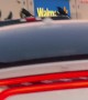 Creepy footage shows hundreds of crows gathering in Walmart parking lot