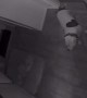 Jump Scare Caught on Security Cam