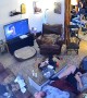 First Rollover Almost Rolls Off Couch