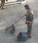 Street Sweeper Plays With Stray Kitty