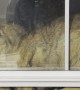 Cat Somehow Stuck Between Two Windows