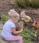 Child With Her Chickens