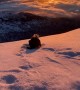 Winter-loving pup slides down snowy mountain in Alaska