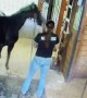 Horse Freaks Out During Haircut