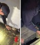 Fire Crew rescues puppy from beneath floorboards