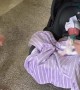Big Sister Welcomes Preemie Twins Home