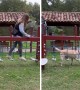 Labrador finds the easiest way to conquer obstacle course