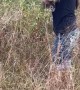 Woman Rescues Kitten Stuck in Weeds