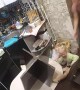 Child Watching Cartoons on Unstable Table Falls
