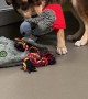 Nervous Pup Carries Favorite Toy For Comfort