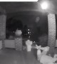 Flip Flop Flies Off After Front Door Fall