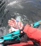 Massive Halibut Caught by Kayak Angler in Alaska