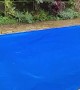 Pup Plays on Covered Pool