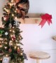 Cheeky cat tires to steal the star a top the Christmas tree