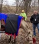 Firefighters & Deputies rescue horse trapped in Iowa creek