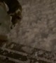 Dogs in the snow go crazy when broom comes out