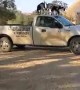 Baby Goats Dance on Top of Truck