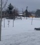 McNabb Collie Tries to Catch Snowballs Thrown from Snow Blower
