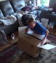 Son Gets a Surprise Playstation 5