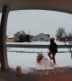Dog Walker Slips on Ice