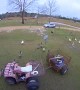 Huge Flock of Fowl Protects Property