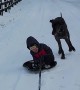 Playful Pup Causes Kid to Spill From Sled