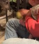 Baby Laughing Hard at Dog Playing Fetch