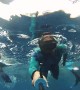 Incredible Up-Close Video of a Whale's Tail Slap