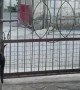 Clever Dog Gets Pack In and Out of Gate