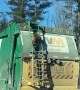 Raccoon Goes for a Garbage Truck Ride