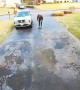 Dogs Watch Human Hit the Driveway